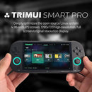 Trimui Smart Pro Console de jogos portátil 4.96 ''tela IPS Sistema Linux Joystick Iluminação RGB Smartpro Retro Video Game Player Presente